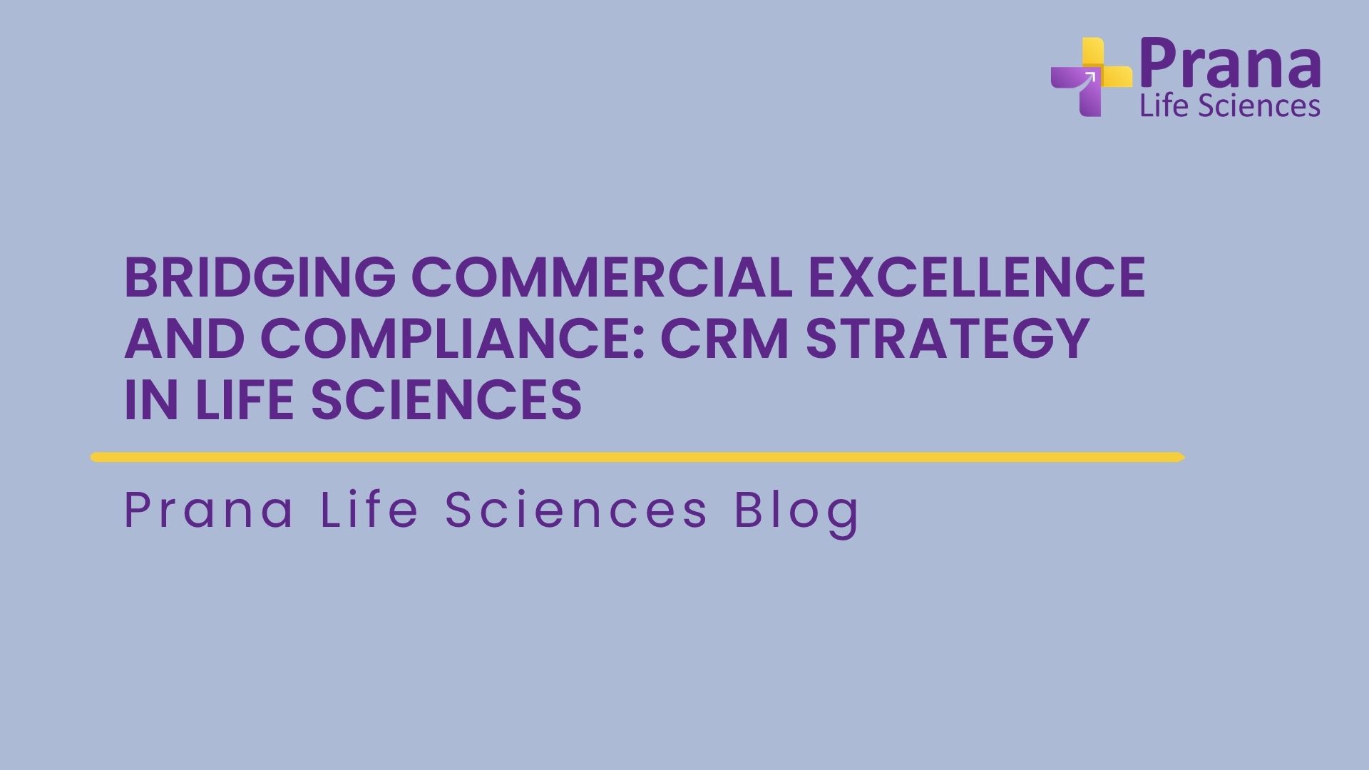 Bridging Commercial Excellence and Compliance: CRM Strategy in Life Sciences